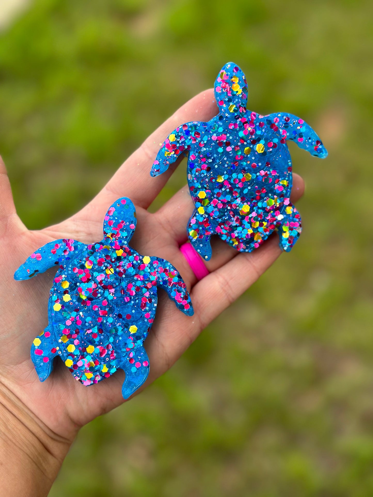 🌸🐢Turtle 🐢🌸