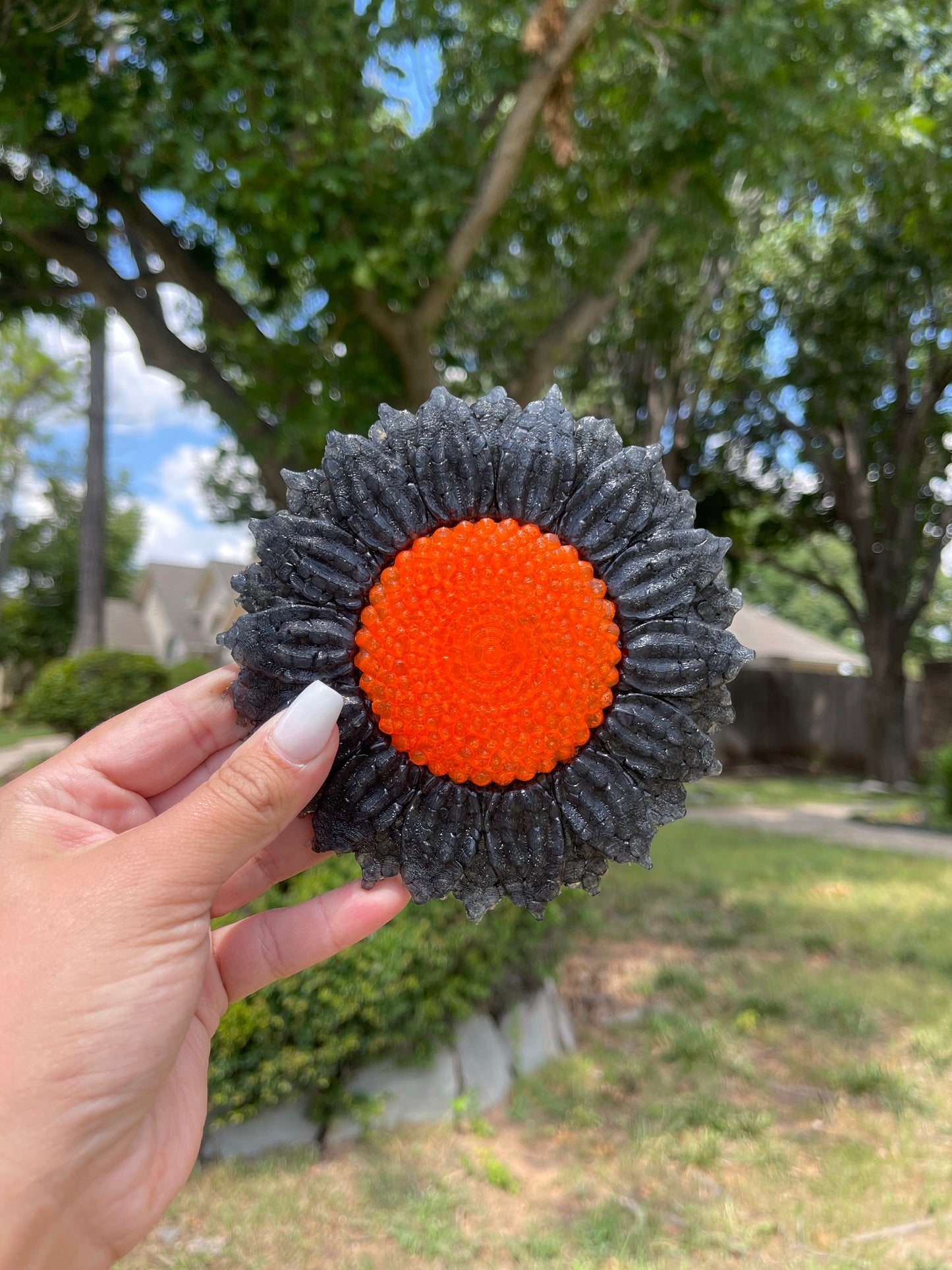Black/Orange Sunflower 🌻