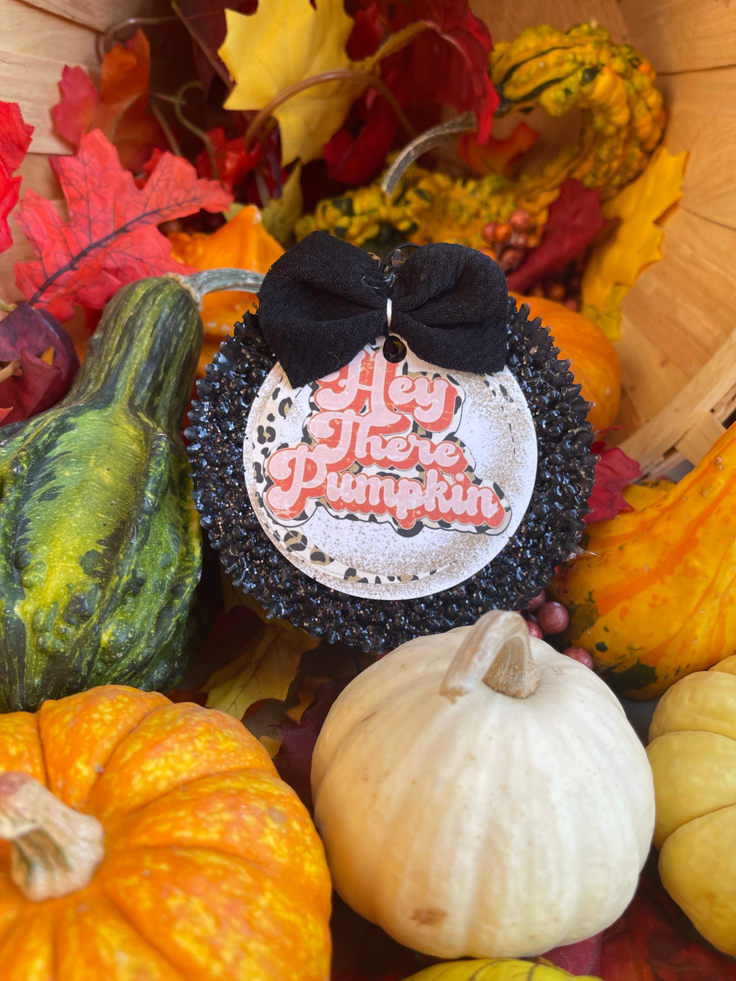 🎃Hey There Pumpkin🎃 (bow not included)