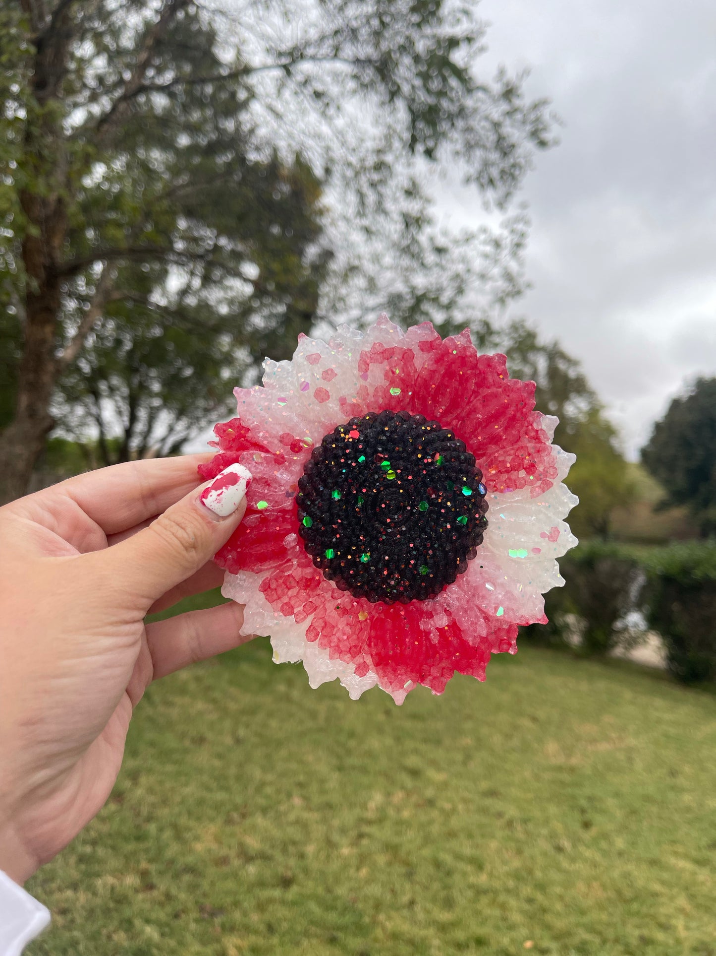 ❤️Candy Cane Sunflower🤍