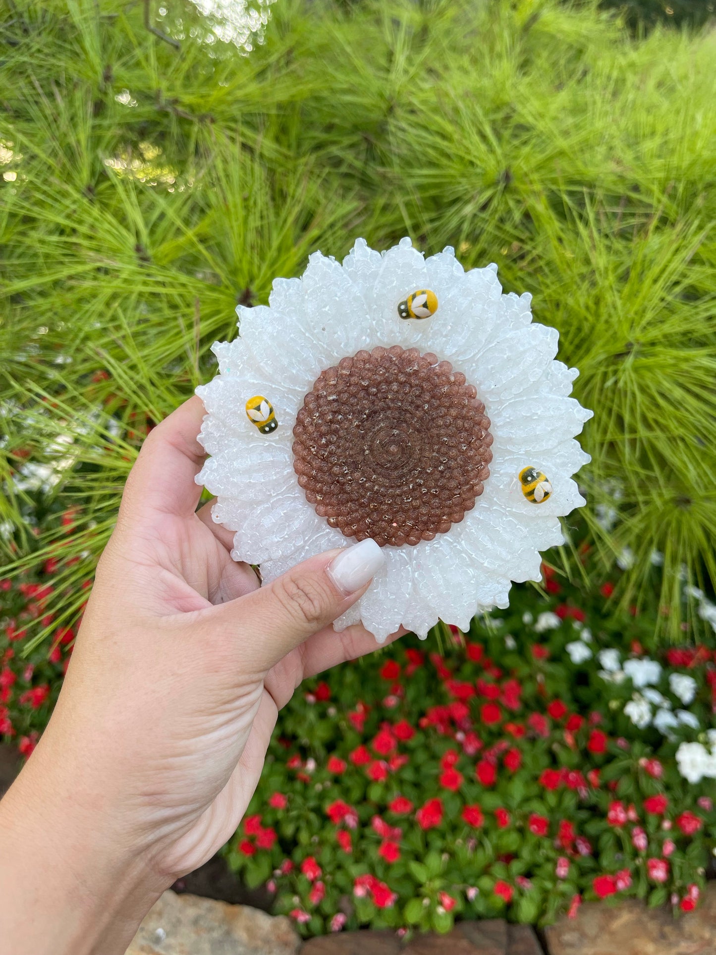 Sunflower with Bee’s 🐝