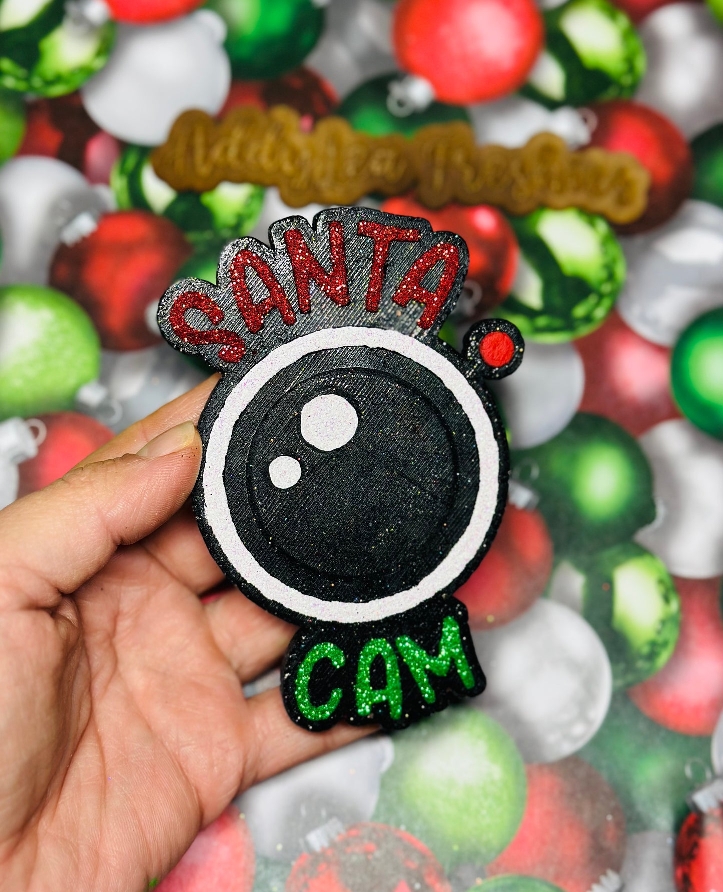 Santa Cam