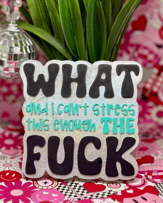 WHAT, and I can’t stress this enough, THE FUCK