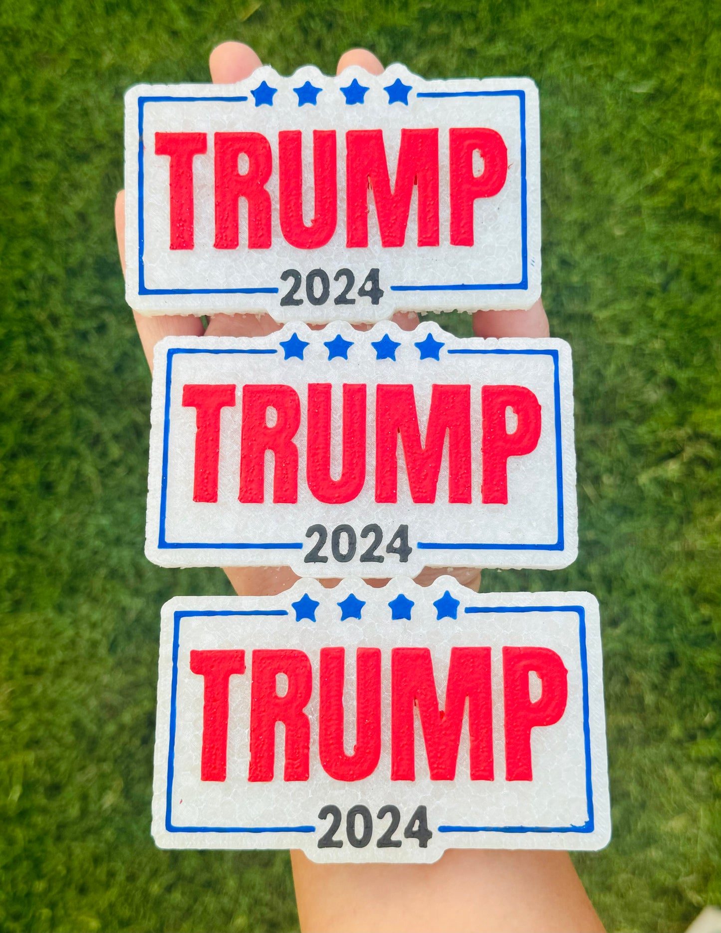 TRUMP 2024