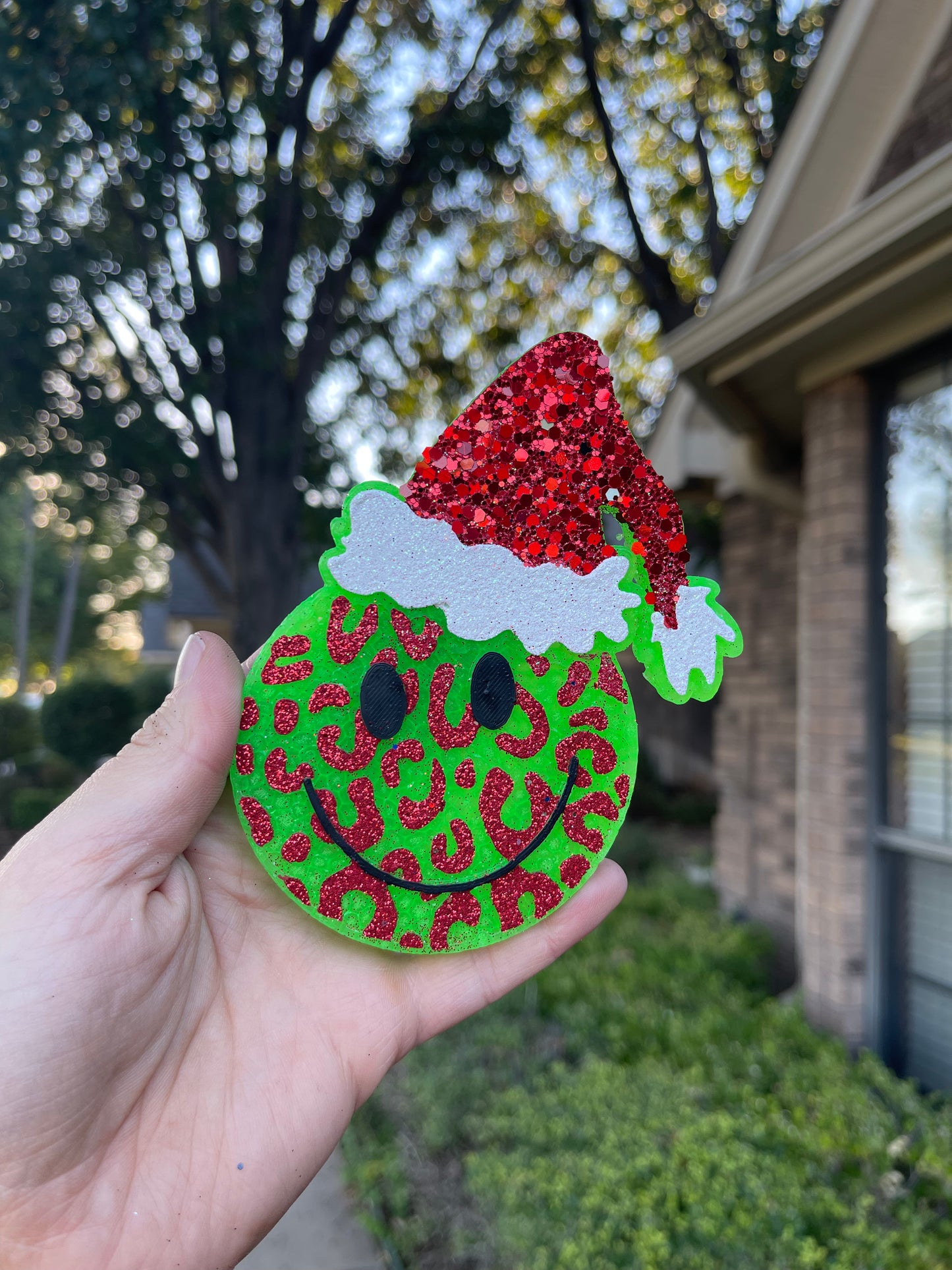 Leopard Smiley with Santa Hat