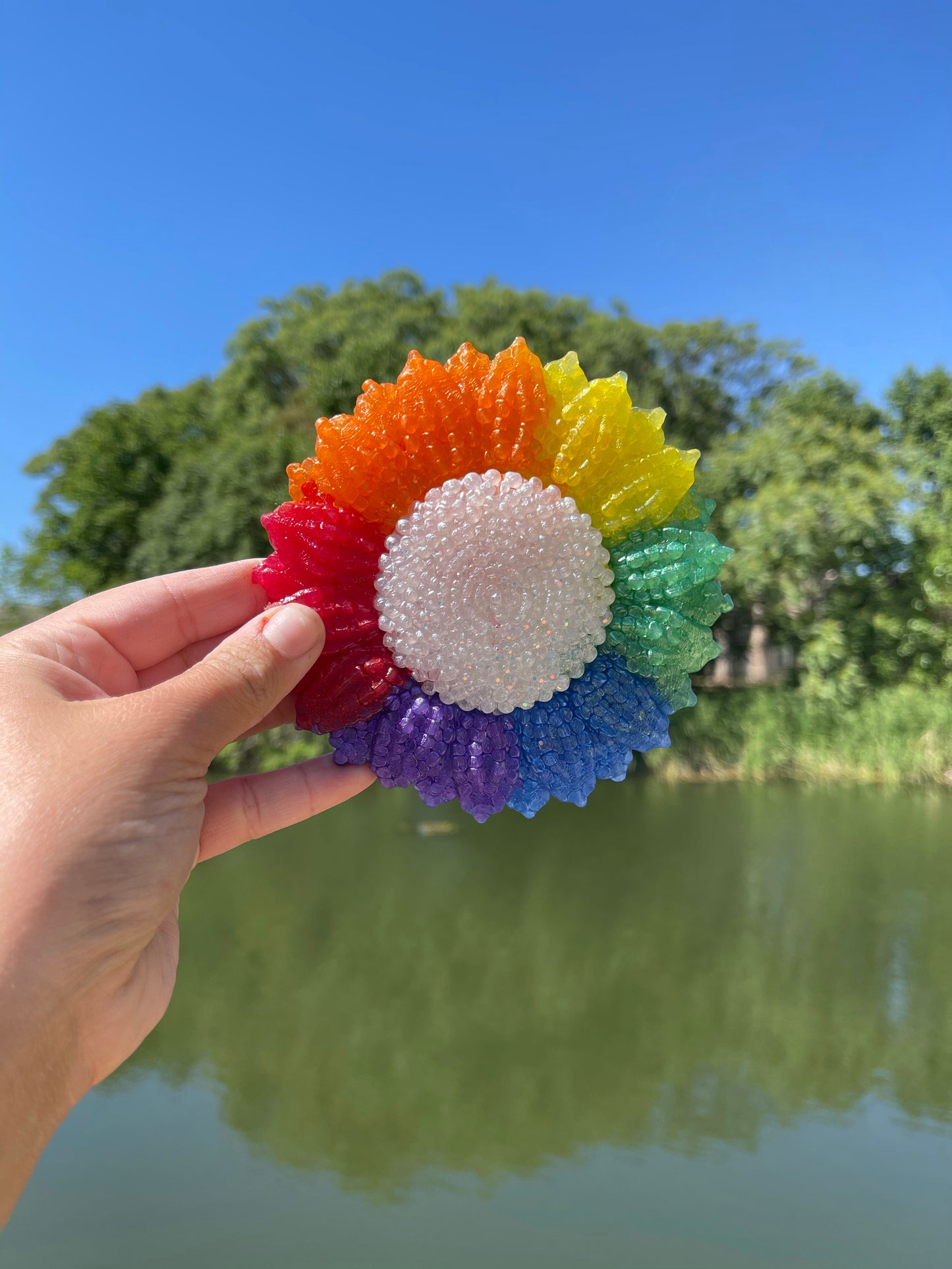 Sunflower Rainbow 🌈