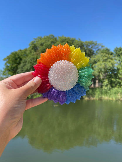 Sunflower Rainbow 🌈