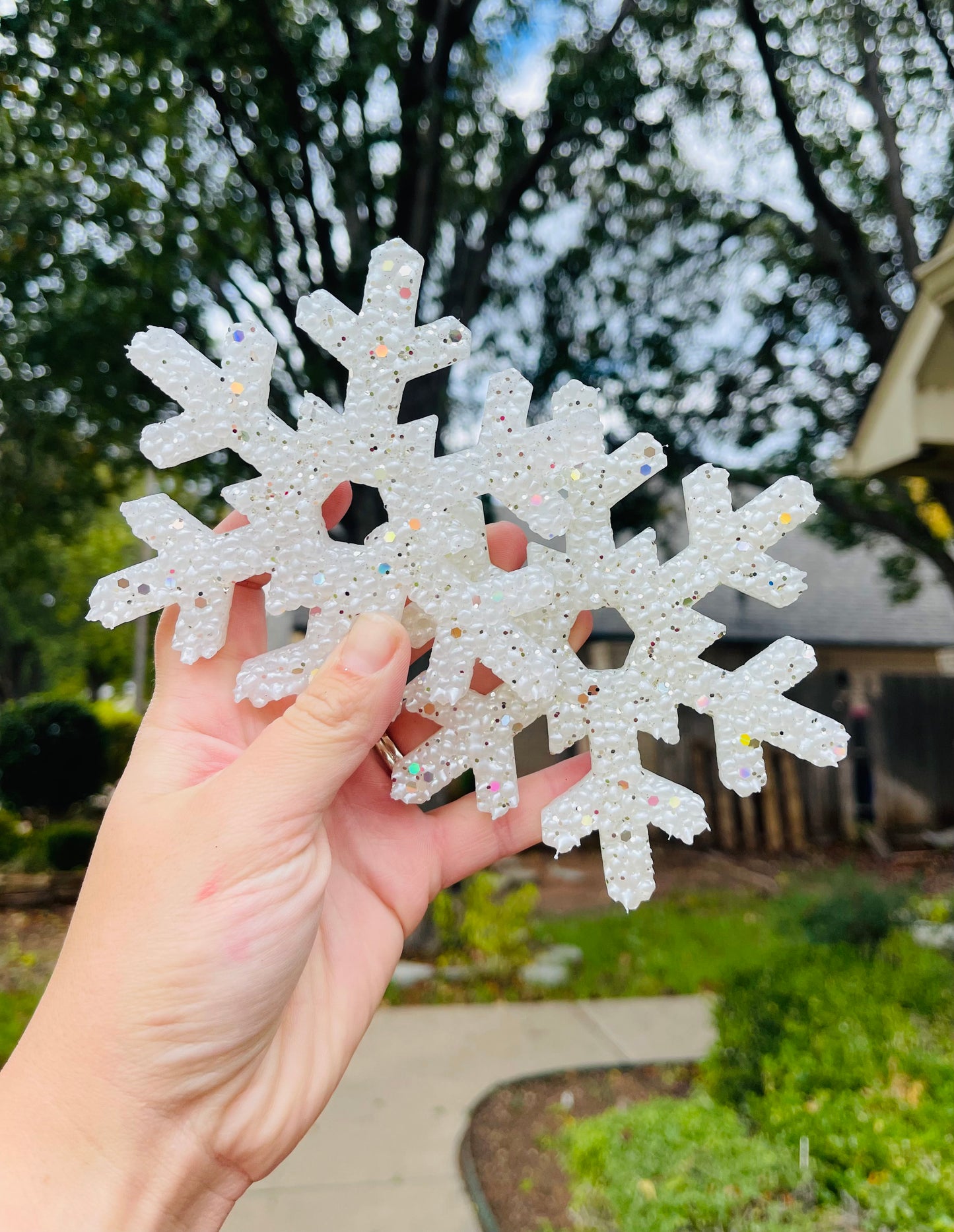 ❄️Snowflake ❄️