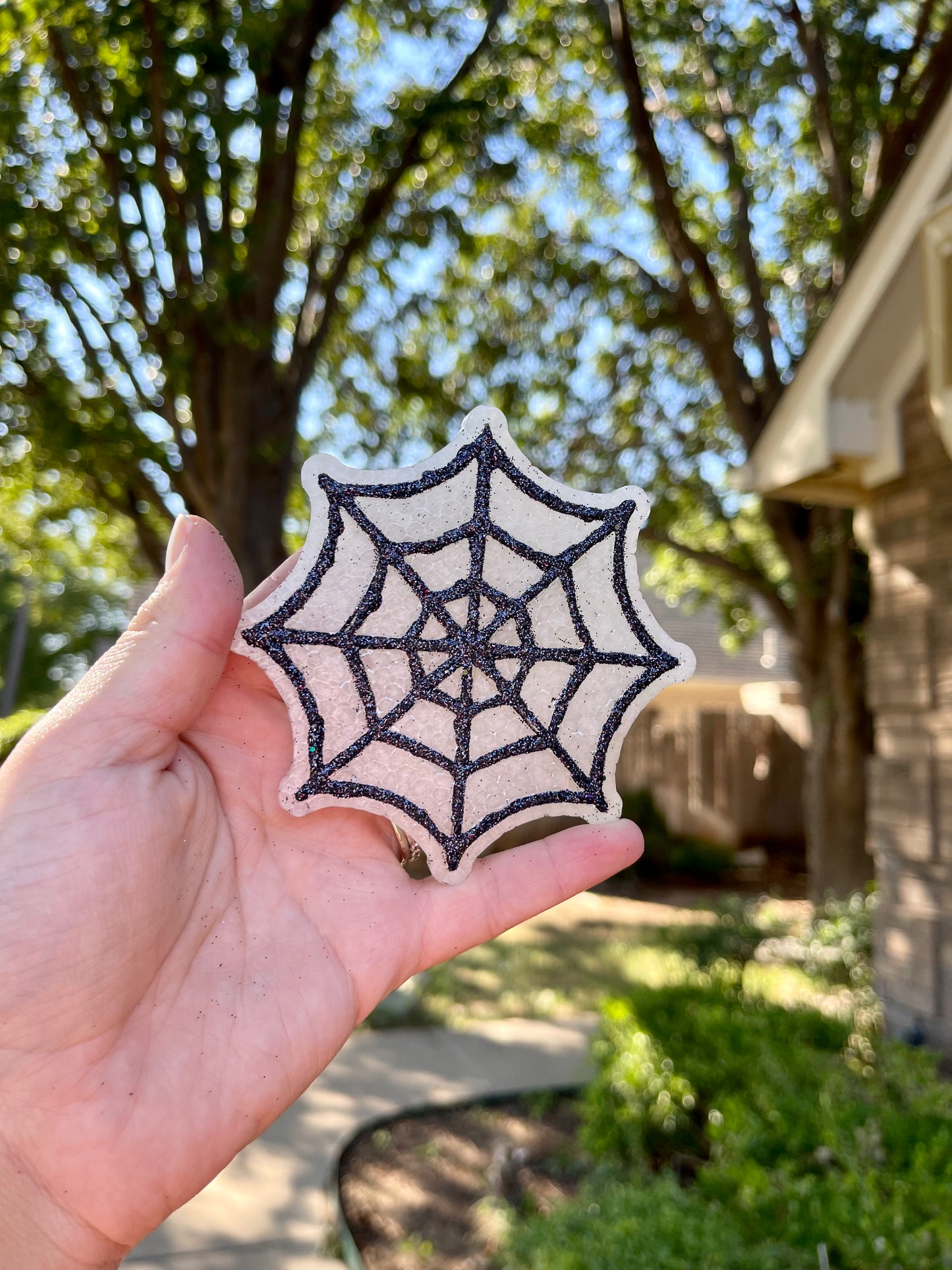 🕸🖤Spider Web🖤🕸