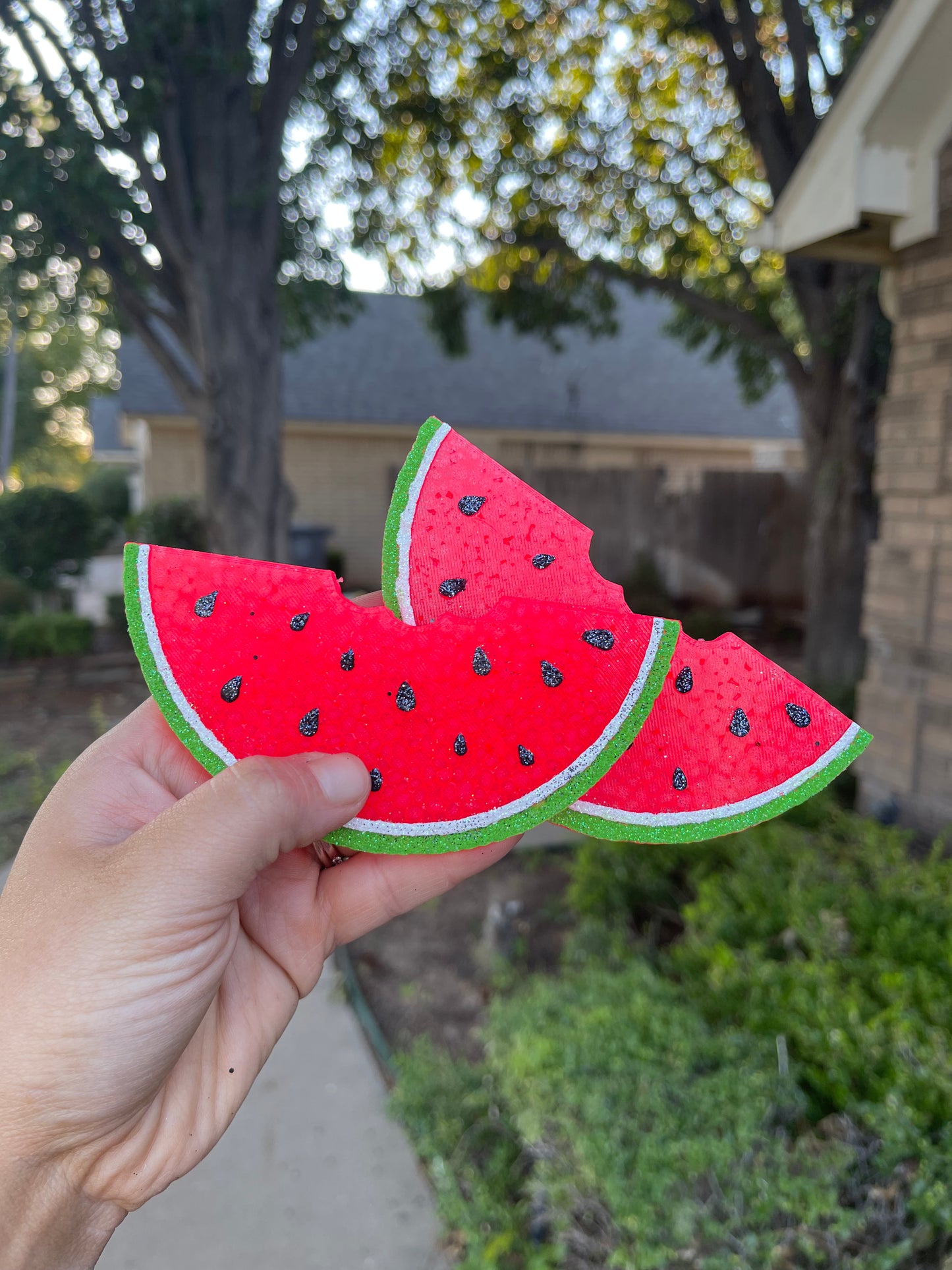 🍉Watermelon Slice🍉